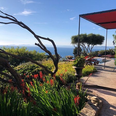 Villa Mirabel Île du Levant Eksteriør billede